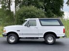 Thumbnail Photo 37 for 1995 Ford Bronco XLT